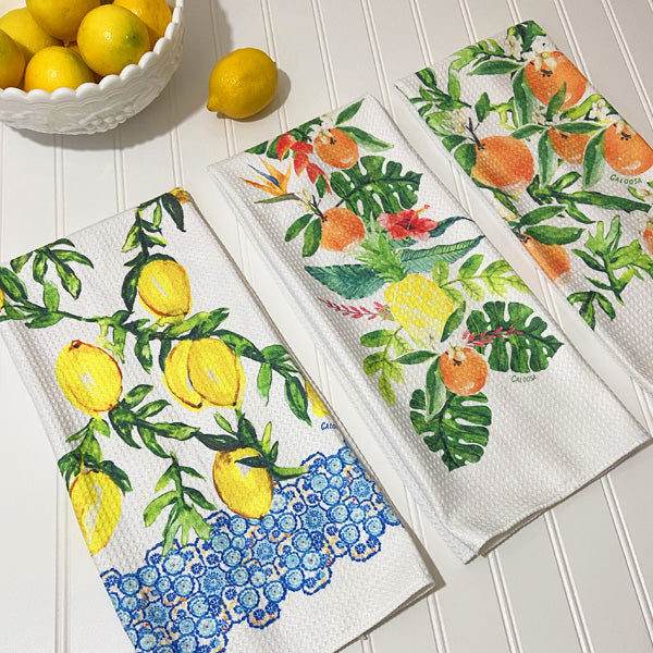 Fruit Colored Cotton Dish Towels Set